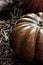 Dark stained background basis autumn harvest large effect vintage