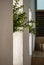 Dark staircase with white stucco wall with openings to outside with light and plants coming through them