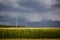 Dark Storm Clouds over Corn Fields