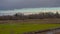 Dark storm clouds over the marsh in the flemish countryside