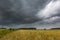Dark stormy clouds over corn field at summer