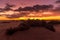 Dark sunset overlooking the ocean and orange sunset and the sand dunes and leaves of the dappled trees moving in strong wind