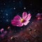 Dark Surrealism: Pink Cosmos Flower In Starry Sky
