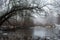 Dark tree above the the frozen melting lake