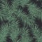 Dark tropical background with jungle plants. Seamless vector tropical pattern with green palm leaves.