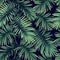 Dark tropical pattern with exotic plants. Seamless vector tropical pattern with green phoenix palm leaves.