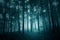 Dark turquoise blue colored foggy forest