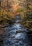 The Dark Water of Cataloochee Creek