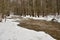 Dark water flowing in river in forest