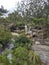 Dark water waterfall in a Brazilian reserve