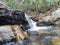 Dark water waterfall in a Brazilian reserve