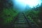 Dark wet railroad through foggy jungle forest, Ella Sri Lanka