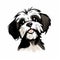 Dark And White Shih Tzu Dog Portrait Vector Illustration