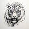 Dark White Tiger Tattoo: Stunning Sketch Of A Majestic Beast