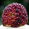 Dark wild red berries fruit on close up 3D illustration
