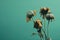 Dark wilted and dry flowers in blue green background