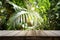 Dark wood table top Bar with blur on green palm leaves or tree in tropical forest with bokeh light at background