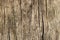 Dark wooden texture. Wood brown texture. Background old panels. Retro wooden table. Rustic background. Vintage colored surface.