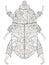 Darkling beetle. Anti Stress Coloring Book. Raster object Egyptian beetle. Black lines on a white background.