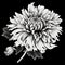 Darkly Detailed Chrysanthemum Illustration In Mote Kei Style