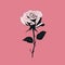 Darkly Romantic Black And White Rose Illustration On Pink Background