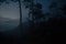 Darkness night jungle surrounded by fog