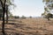 Darling Downs in drought