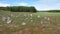 Darskild Mounds stone circle burial ground in Sweden