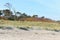 Darss Fischland peninsula at Baltic sea Germany. beach landscape with dunes reed and trees