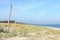 Darss Fischland peninsula at Baltic sea Germany. beach landscape with dunes reed and waves