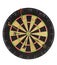 Dart Board