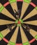 Dart Board