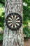 Dartboard hanging on a tree in the park