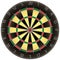 Dartboard isolated vector