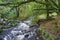 Dartmoor, Devon England in the Autumn Sun