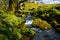 Dartmoor england river