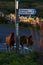Dartmoor Foals at Cold East Cross
