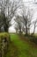 Dartmoor green path walls bare trees in mist.