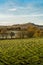 Dartmoor hills portrait