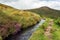 Dartmoor Leat