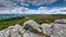 Dartmoor National Park  Buckland Beacon Devon