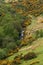 Dartmoor National Park landscape and hills, Devon England UK