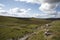 Dartmoor national park merrivale and vixen tor