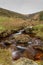 Dartmoor Stream flowing through a valley