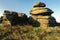 Dartmoor Tor (closeup)