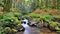 Dartmoor Valley Stream