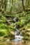 Dartmoors secret stream