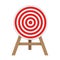 Darts Target Isolated