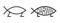 Darwin fish icons. Ichthys sign variations. Jesus fish parody symbols isolated on white background. Evolutionary