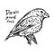 Darwin ground finch on the tree - vector illustration sketch han